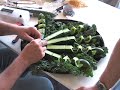 MAYAmake.How-To.EdibleRobotics