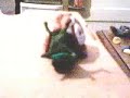 Snail Test 3, last one