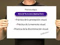 Down syndrome:&nbsp;S�ndrome de Down: M�todo de lectura global