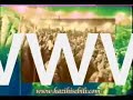 bayraktr barts erdoan akn wwwhazihisebilinet .html