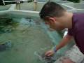 videos de Turtle farm - Grand Cayman By Lee Stanton