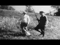 Bird Dogs: Training Setters, Pointers and Spaniels