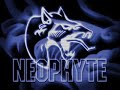 neophyte - recht uit de ondergrond neophyte - recht uit de ondergrond