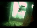 Thistlegorm