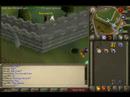 Funny RuneScape Glitch