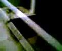 Bodn�r �s Tomcsik