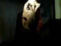 videos de T-Rex