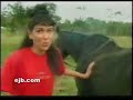 Horse Shit Hair Do Know Your Horse