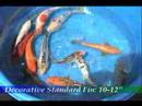 Blackwater Creek: Decorative Koi 10-12\" Blackwater Creek: Decorative Koi 10-12\"