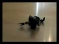 Bionicle Battle: the Bohrok