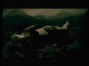 sepultura-convicted-in-life.html