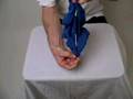 How to make a Chicken out of a Napkin