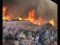 firefighter of jalisco mexico