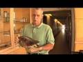 NYSG: VHS - An Emerging Disease in the Great Lakes (4 of 4)