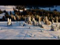 Traumkugel-Welt Hochschwarzwald