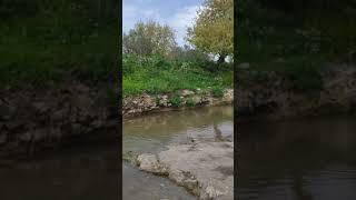 قرية خبيزة المهجرة