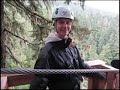 Ziptrek Ecotours & The Age of Aquarious