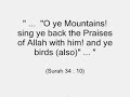 Prophet David (Dawud)