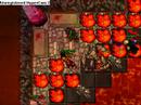 Tibia Celesta Warlock killed by 52 ed and 52 rp