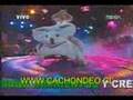 Luli en el Koala