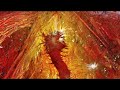 Visions Of Reality - A journey through Sacred Geometry