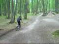 livry