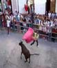 Toro Cuerda carcabuey 2003
