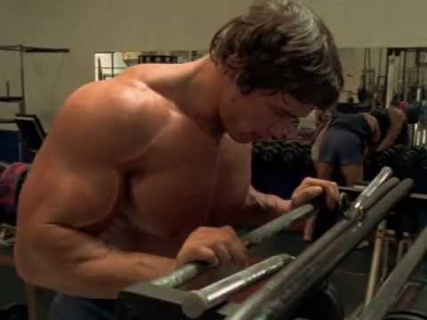 body - My tribute to Arnold, the greatest bodybuilder of all time.