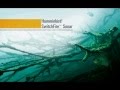 SwitchFire Sonar