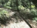 part 2 Walking Trail at Vista at Bill\ part 2 Walking Trail at Vista at Bill\