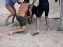 Primates vs. Canidos