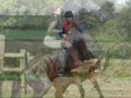 horsey contest!! open!!!