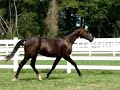 Connaught Connaught