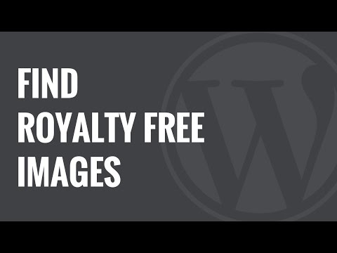 how to search for blogs on wordpress