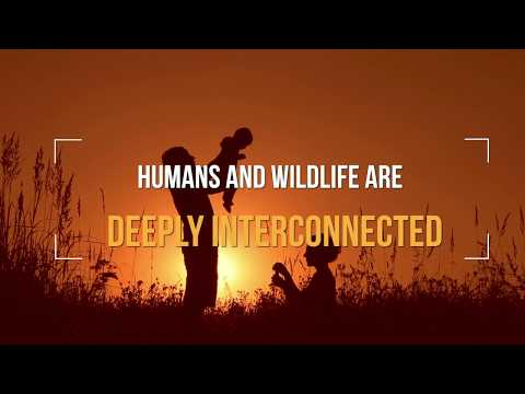 Global Wildlife Program