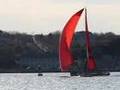 Puma Racing il mostro Under Sail Newport RI2008