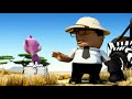 Safari