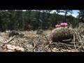Trail-Run