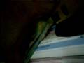I will give it to you_ part 2
