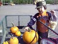 Hunter getting pumpkins with a wagon