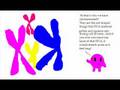 DNA and Chromosomes