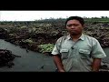 Ratuj?c lasy deszczowe w Riau w Indonezji Ratuj?c lasy deszczowe w Riau w Indonezji