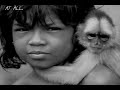 Altruism in Monkeys Altruism in Monkeys