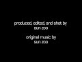 Sun Zoo American Expatriate 