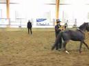 Circ de Jose at the UA Horse Festival Circ de Jose at the UA Horse Festival