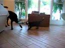 Tug of War