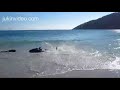 Raw Video: Mass Dolphin Rescue Off Rio Coast