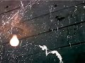 gossamer