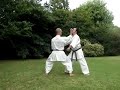 Kata Bunkai Seiyunchin - www.gojuryu.com.ar Kata Bunkai Seiyunchin - www.gojuryu.com.ar