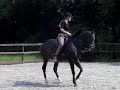 Pirouette